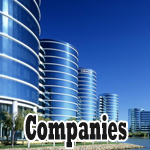 PeopleSoft Companies in India