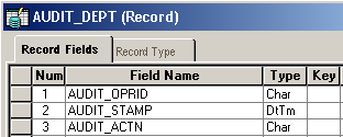 Audit Fields