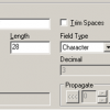 File Layout Field Properties: Amout as Char