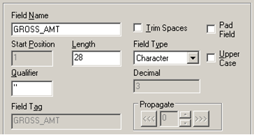 File Layout Field Properties: Amout as Char